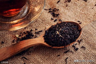 茶坯窨制花茶實用技藝——一杯香茶芬芳萬里